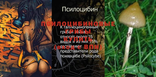 mix Аркадак